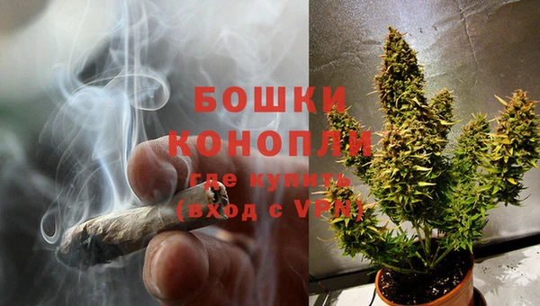 марки lsd Бородино