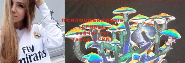 марки lsd Бородино