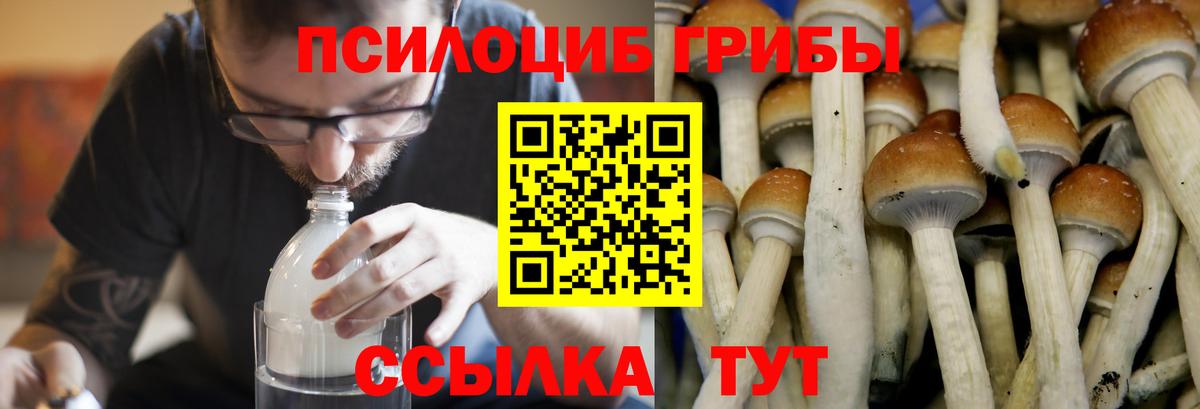 Галлюциногенные грибы MAGIC MUSHROOMS  где купить   Верхняя Салда 
